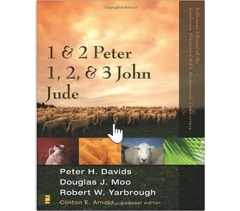 1 AND 2 PETER,  1, 2 AND 3 JOHN, JUDE, ZONDERVAN ILLUSTRATED BIBLE BACKGROUNDS COMMENTARY, by Peter H. Davids, Douglas J. Moo, Robert Yarbrough 