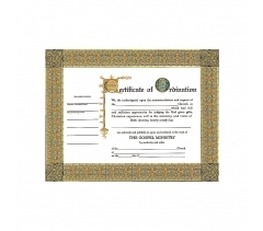 Certificate of Ordination (The Gospel Ministry)