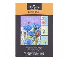 Birthday Boxed Cards, Nature's Blessings, Scriptured, Assortment