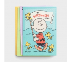 Birthday Boxed Cards, Assortment, Peanuts