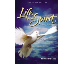 KJV, Life in the Spirit, Study Bible, Imitation Leather, Black, Indexed