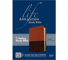 KJV, Life Application Study Bible 2nd Edition, Leatherlike, Brown/Tan, Indexed