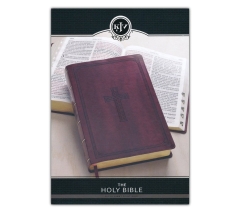 KJV, Holy Bible, Faux Leather, Burgundy, Red Letter, SGP, Thumb Indexed