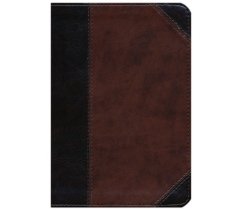 ESV, Compact Bible, Imitation Leather, TruTone Brown/Walnut, Large Print