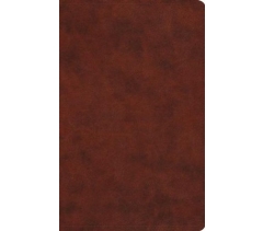 ESV, Thinline Value Bible, Imitation Leather, TruTone Chestnut, Large Print