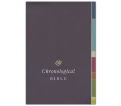 ESV, Chronological Bible, Imitation Leather, Paris Sky