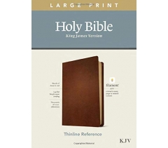 KJV, Thinline Reference Bible, Genuine Leather, Brown, Large Print