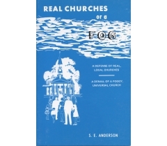REAL CHURCHES OR A FOG by S E Anderson