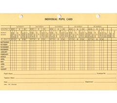 Individual Pupil Card