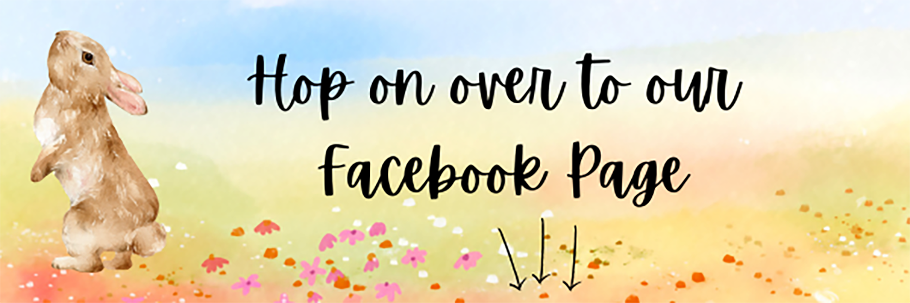 Spring 2025 Facebook