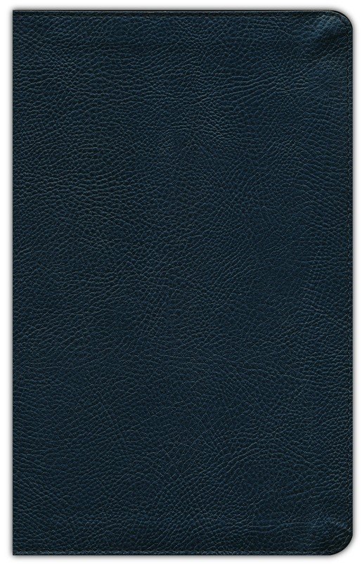 NIV, Thompson Chain Reference, Handy Size, Bonded Leather, Black - Image 2