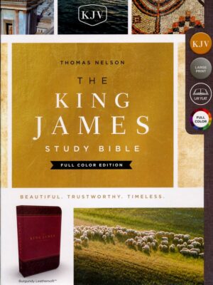 KJV, Study Bible Full Color Edition, Imitation Leather, Burgundy