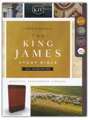 KJV, Study Bible Full-Color, Imitation Leather, Brown