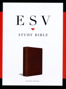 ESV, Study Bible, Imitation Leather, Chestnut