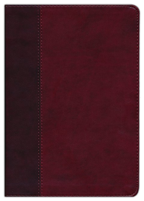 ESV, Thinline Bible, Imitation Leather, Burgundy, Large Print - Image 2