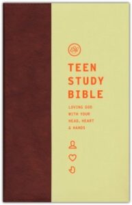 ESV, Teen Study Bible, Imitation Leather, Burnt Sienna