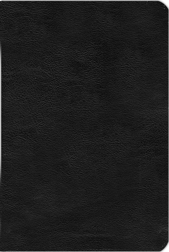 KJV, Life ApplicationStudy Bible, Third Edition, Leatherlike, Black - Image 2