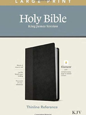 KJV, Thinline Reference Bible, Leatherlike, Black/Onxy, Large Print