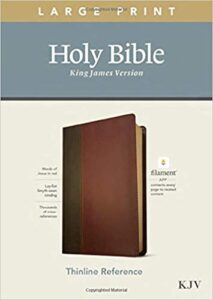 KJV, Thinline Reference Bible, Leatherlike, Brown/Mahogany, Large Print