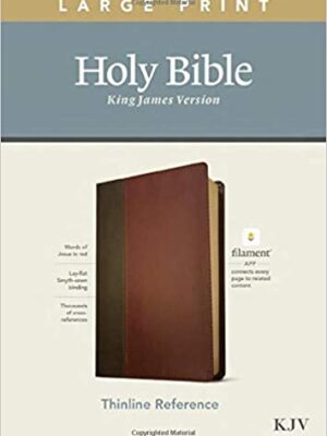 KJV, Thinline Reference Bible, Leatherlike, Brown/Mahogany, Large Print