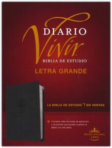 RVR60, Daily Living Study Bible, Spanish, Im Lea, Charcoal, LPrint