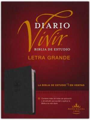 RVR60, Daily Living Study Bible, Spanish, Im Lea, Charcoal, LPrint