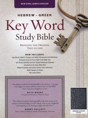 Black Indexed Hebrew Greek Study Bible