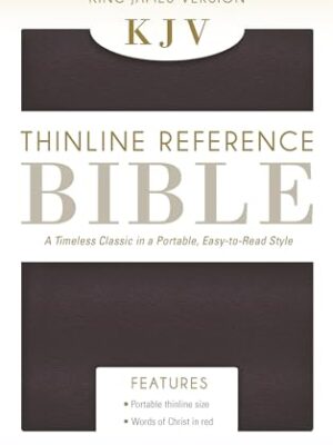 KJV, Thinline Reference Bible, Imitation Leather, Burgundy