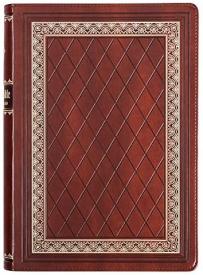 KJV, Study Bible, Leathersoft, Brown