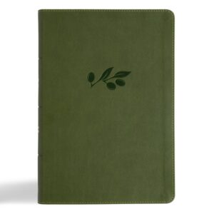 CSB, Single Column Bible, Imitation Leather, Olive, Giant Print