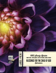 Sunday School, Adult Study Guide, Large Print, Winter 2026-27