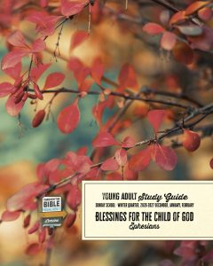 Sunday School, Young Adult Quarterly, Winter 2026-27