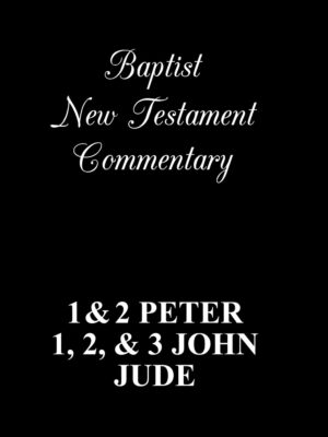 NEW TESTAMENT COMMENTARY 1 & 2 PETER, 1, 2, & 3 JOHN and JUDE