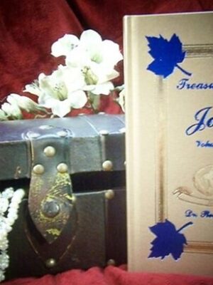 TREASURES FROM JOHN VOLUME TWO by Dr. Rod Mattoon