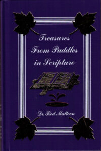TREASURES FROM PUDDLES IN SCRIPTURE by Dr. Rod Mattoon
