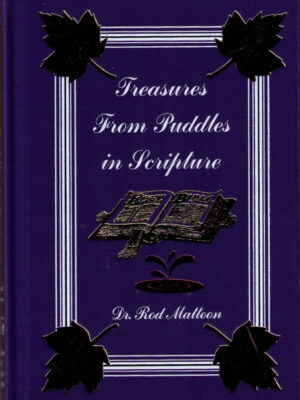 TREASURES FROM PUDDLES IN SCRIPTURE by Dr. Rod Mattoon