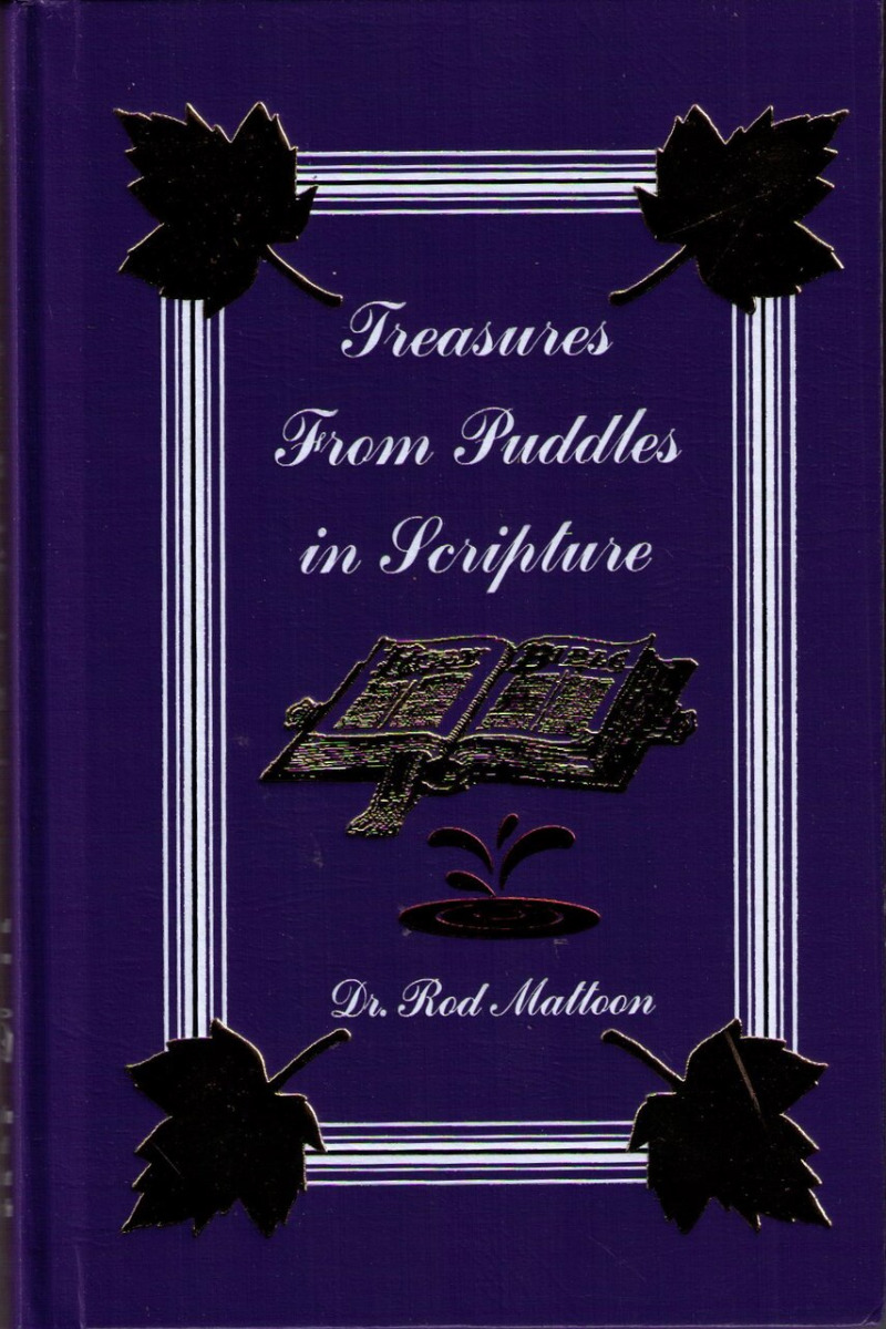 TREASURES FROM PUDDLES IN SCRIPTURE by Dr. Rod Mattoon