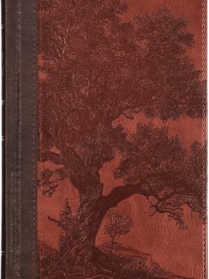 KJV, Standard Size Holy Bible, Vegan leather, Brown, Indexed, Giant Print