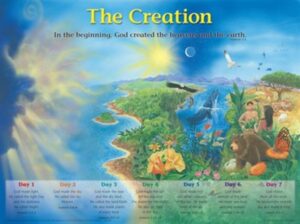 THE CREATION LAMINATED WALL CHART
