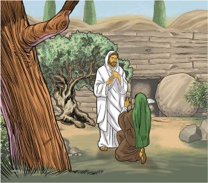 VBS LESSON VINYL 4 BACKDROP 2027