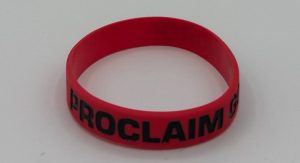 VBS SILICONE BRACELET 2027