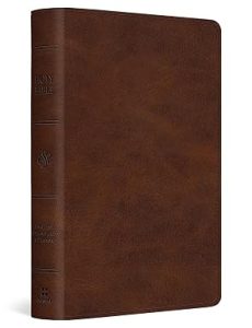 B-ESV LP (TT, DEEP BROWN