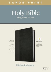 KJV, Thinline Reference Bible, Leatherlike, Black/Onxy, Large Print