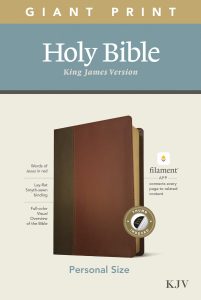 KJV, Personal Size Bible, Filament App, Soft Leather, Brwn/Mahog Ind.