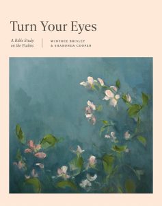 TURN YOUR EYES, BIBLE STUDY ON THE PSALMS