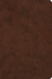 ESV, Holy Bible, Deslexia Friendly Edition, Imitation Leather, TruTone Brown