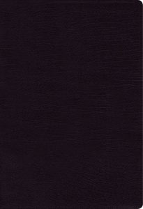 B-NASB THINLINE,BLK,RL,INDX