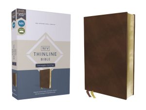 B-NIV,THIN,BRN,RL,