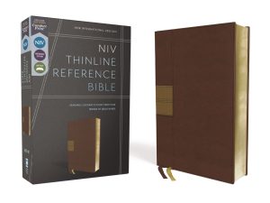 B-NIV,THIN,BRN,RL,
