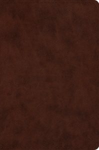 B-ESV COMPACT BIBLE RL BRN